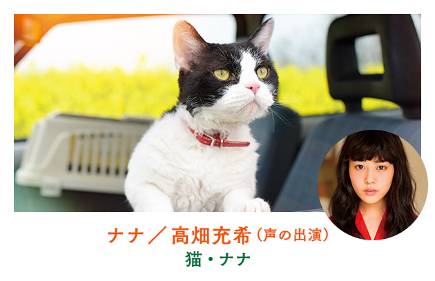 ナナ（猫・ナナ）