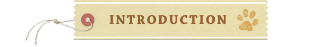 INTRODUCTION