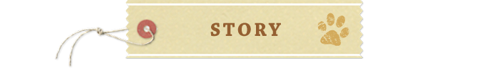 STORY