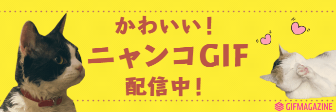 GIFMAGAZINE
