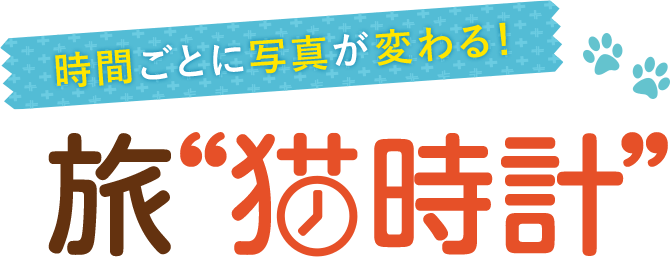 旅 コレクション 猫 リポート dvd ラベル