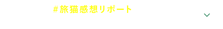 ＃旅猫感想リポート 続々到着！感想投稿キャンペーン実施中