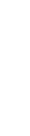 若き天才は