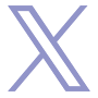 公式X