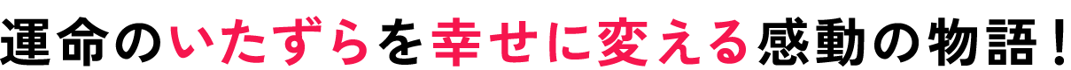 運命のいたずらを幸せに変える感動の物語！