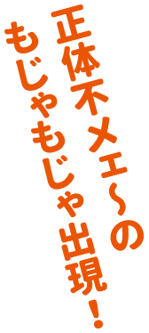 正体不メェ〜のもじゃもじゃ出現！
