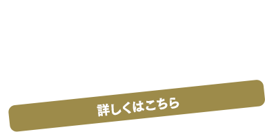 11.29(Fri.)全国公開 