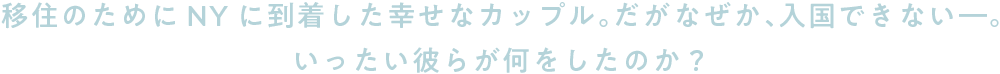 移住のためにNYに到着した幸せなカップル。だがなぜか、入国できない―。いったい彼らが何をしたのか？